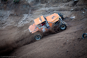 Martin Michaelsen, Insane