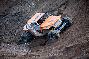 Martin Michaelsen, Insane