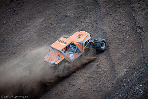 Martin Michaelsen, Insane