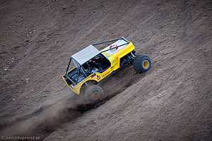 Paul Bjørnerud, Brutus