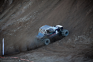 Ronny Pedersen, Troll