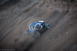 Ronny Pedersen, Troll