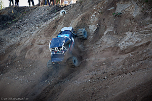 Ronny Pedersen, Troll