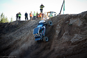 Ronny Pedersen, Troll