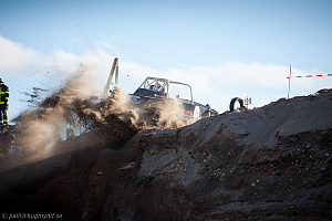 Ronny Pedersen, Troll