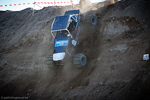 Ronny Pedersen, Troll