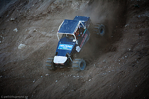 Ronny Pedersen, Troll