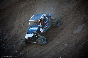 Ronny Pedersen, Troll