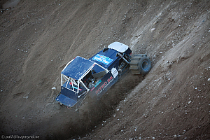 Ronny Pedersen, Troll