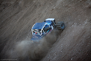 Ronny Pedersen, Troll