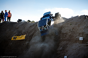 Ronny Pedersen, Troll