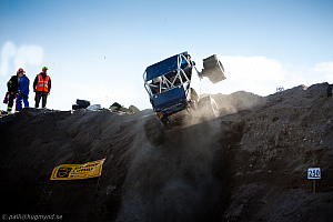 Ronny Pedersen, Troll