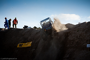 Ronny Pedersen, Troll