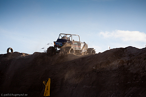 Ronny Pedersen, Troll