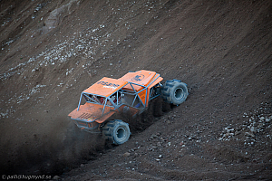 Martin Michaelsen, Insane