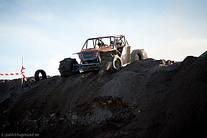 Martin Michaelsen, Insane