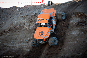 Martin Michaelsen, Insane