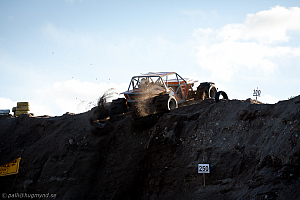 Martin Michaelsen, Insane