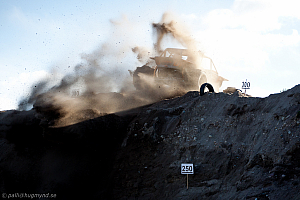 Martin Michaelsen, Insane