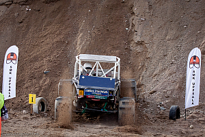 Ronny Pedersen, Troll