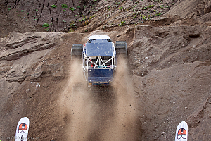 Ronny Pedersen, Troll