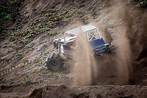 Ronny Pedersen, Troll