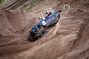 Ronny Pedersen, Troll