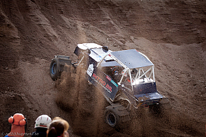 Ronny Pedersen, Troll