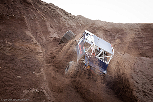 Ronny Pedersen, Troll