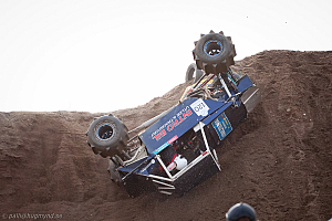 Ronny Pedersen, Troll