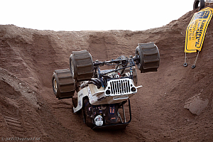 Tommi Löytynoja, Big Willys