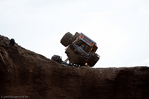 Martin Michaelsen,  Insane