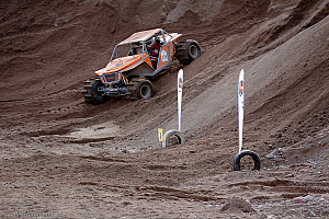 Martin Michaelsen,  Insane