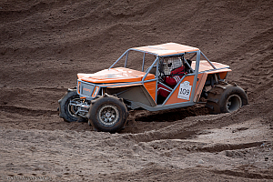 Martin Michaelsen,  Insane