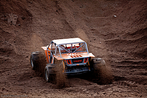 Martin Michaelsen,  Insane