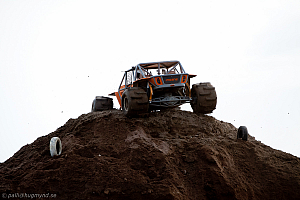 Martin Michaelsen,  Insane