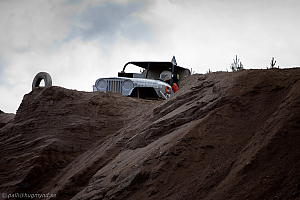 Torbjörn Eriksson, T-Rex