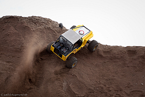 Paul Bjørnerud, Brutus