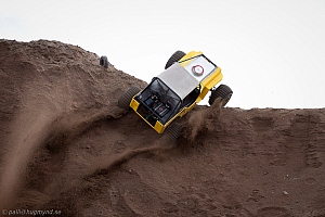 Paul Bjørnerud, Brutus