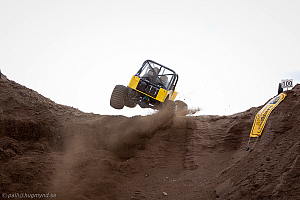 Paul Bjørnerud, Brutus