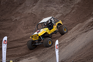 Paul Bjørnerud, Brutus