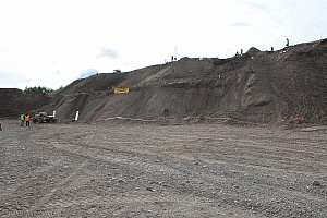 Tuukka Laasonen,Linda