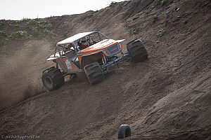 Martin Michaelsen, Insane