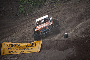 Martin Michaelsen, Insane