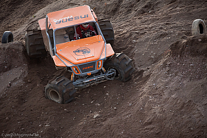 Martin Michaelsen, Insane