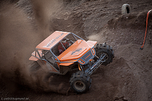 Martin Michaelsen, Insane