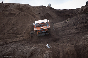 Martin Michaelsen, Insane