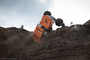 Martin Michaelsen, Insane