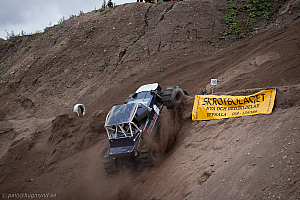 Ronny Pedersen, Troll