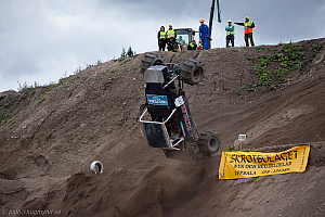 Ronny Pedersen, Troll